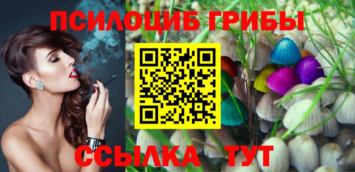 Псилоцибиновые грибы ЛСД Тосно