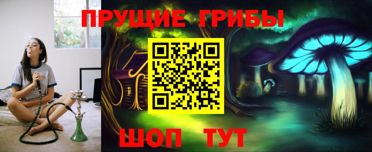 даркнет сайт  Псилоцибиновые грибы мицелий  Вход с VPN  Тосно 